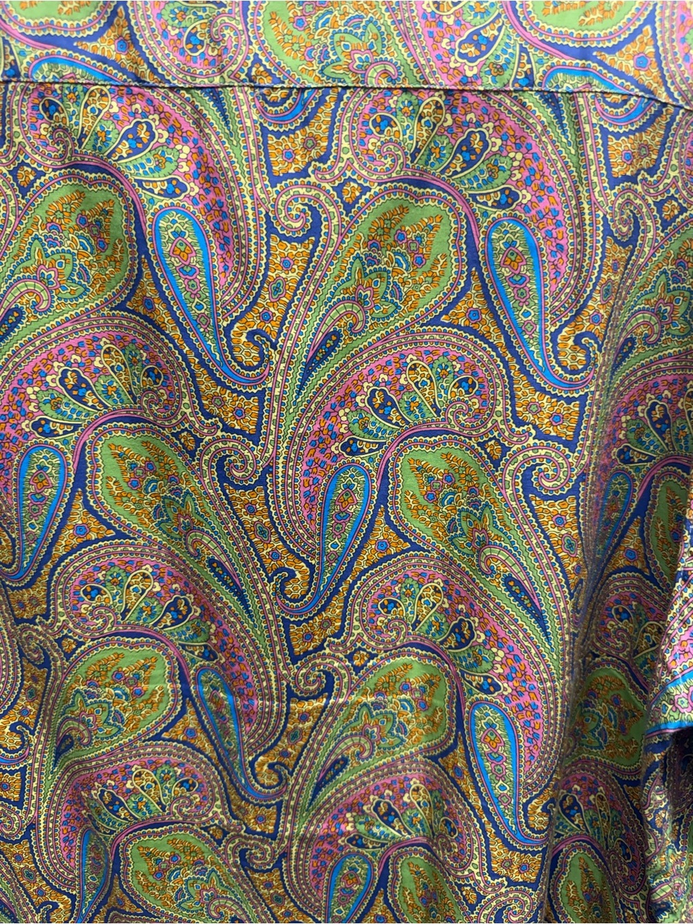 Levi's Paisley Button-Down Shirt — Green, Gold, Pink, Blue, Purple - Picture 6 of 13
